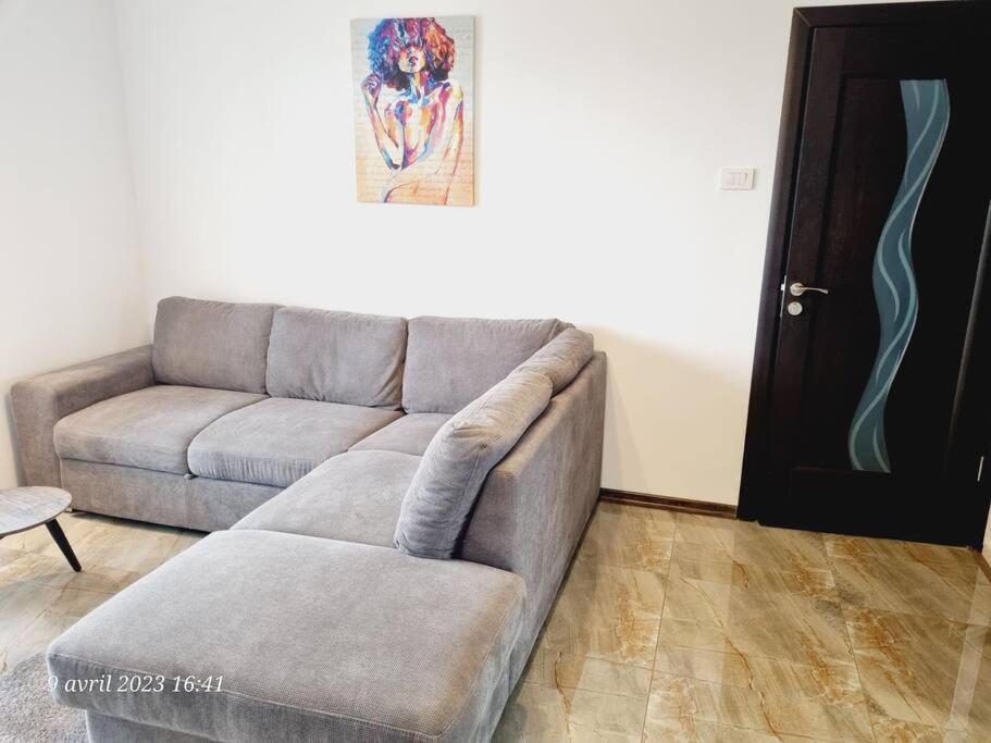 Le Nid D'Adam Apartment Zarnesti Exterior photo